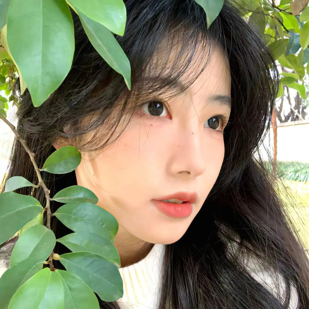 山河血泪美人恩