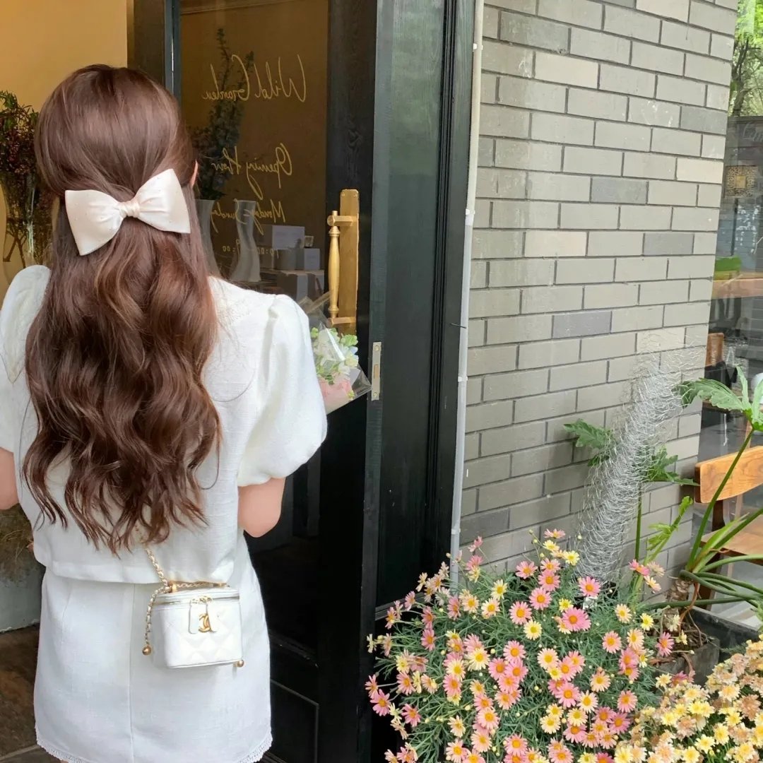 新灵犬莱西
